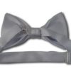 Silver Bow Tie back